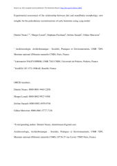 Vignette du fichier