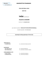 Vignette du fichier