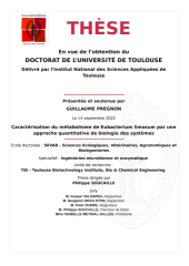 Vignette du fichier
