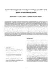 Vignette du fichier