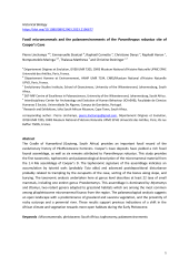 Vignette du fichier