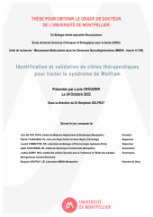 Vignette du fichier