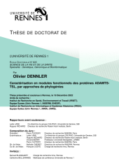 Vignette du fichier