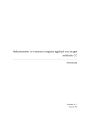 Vignette du fichier