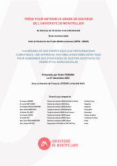 Vignette du fichier
