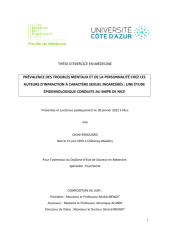 Vignette du fichier