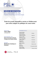 Vignette du fichier