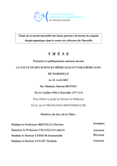 Vignette du fichier