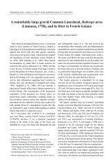 Vignette du fichier