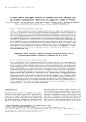 Vignette du fichier