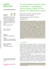 Vignette du fichier