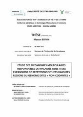 Vignette du fichier
