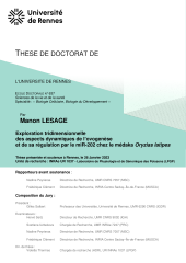 Vignette du fichier