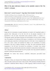 Vignette du fichier