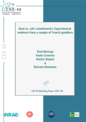 Vignette du fichier