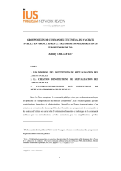 Vignette du fichier