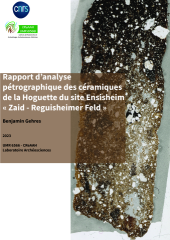 Vignette du fichier
