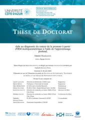 Vignette du fichier