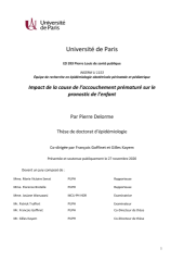 Vignette du fichier