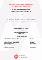 Vignette du fichier