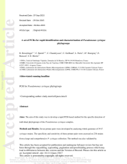 Vignette du fichier
