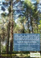 Vignette du fichier