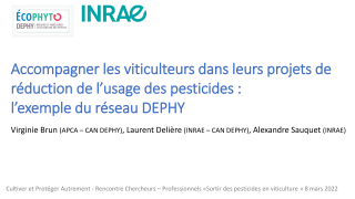 Vignette du fichier