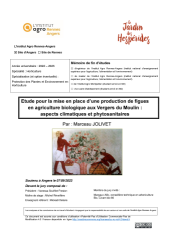 Vignette du fichier