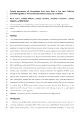 Vignette du fichier