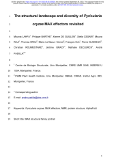 Vignette du fichier