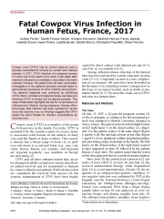 Vignette du fichier