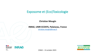 Vignette du fichier