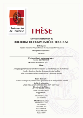 Vignette du fichier