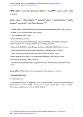 Vignette du fichier