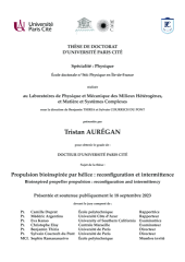 Vignette du fichier