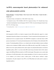 Vignette du fichier