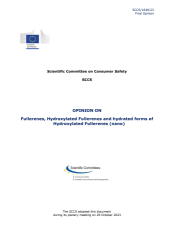 Vignette du fichier