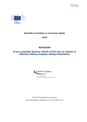 Vignette du fichier