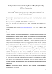 Vignette du fichier