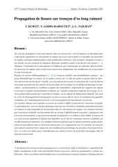 Vignette du fichier