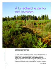 Vignette du fichier