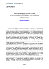 Vignette du fichier