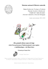 Vignette du fichier
