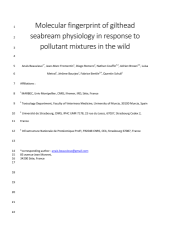 Vignette du fichier