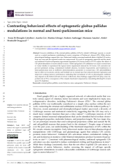 Vignette du fichier