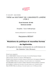 Vignette du fichier