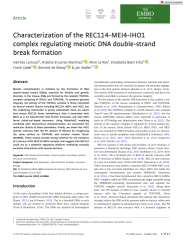 Vignette du fichier
