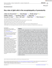 Vignette du fichier