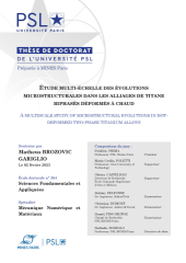 Vignette du fichier