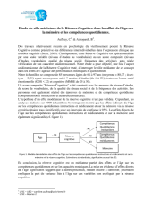 Vignette du fichier